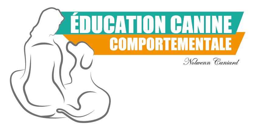 Logo Nolwenn Caniard